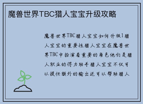 魔兽世界TBC猎人宝宝升级攻略